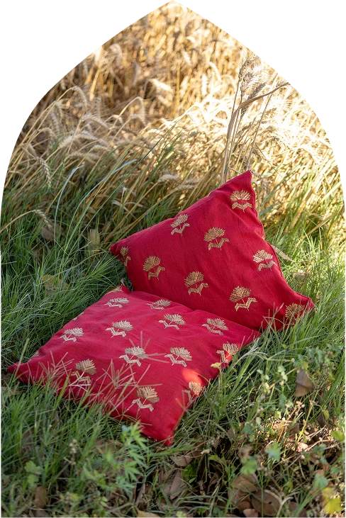 Noor-e-Phulkari Cushion Set